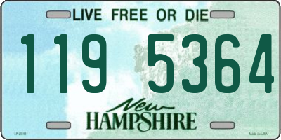 NH license plate 1195364