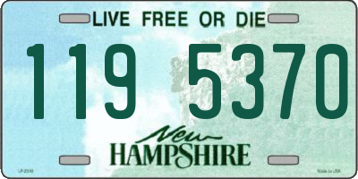 NH license plate 1195370