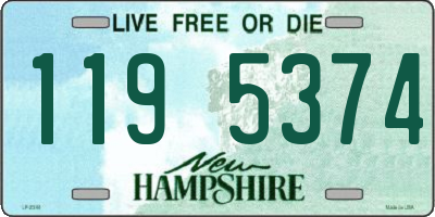 NH license plate 1195374