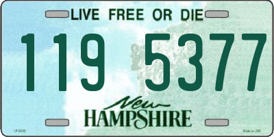NH license plate 1195377