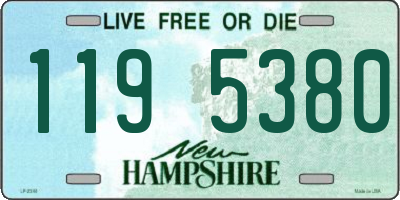 NH license plate 1195380