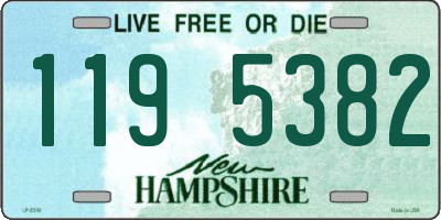 NH license plate 1195382