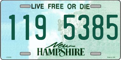 NH license plate 1195385