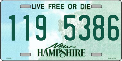 NH license plate 1195386