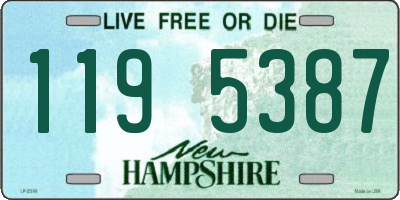 NH license plate 1195387