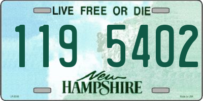 NH license plate 1195402