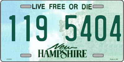 NH license plate 1195404