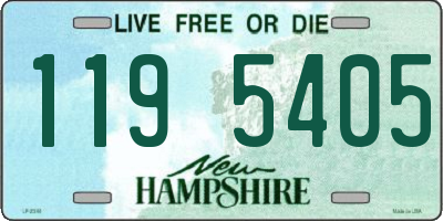 NH license plate 1195405