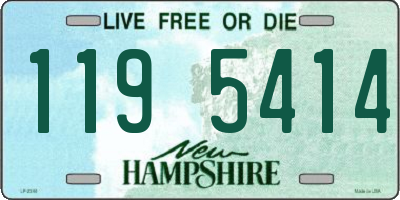 NH license plate 1195414
