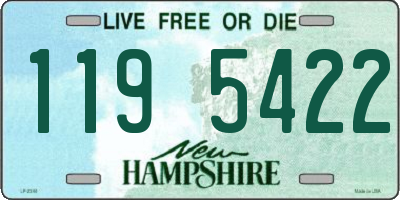 NH license plate 1195422