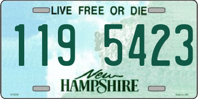 NH license plate 1195423