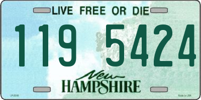 NH license plate 1195424