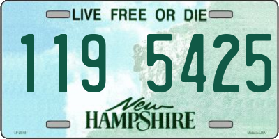 NH license plate 1195425