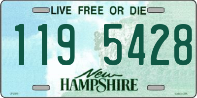 NH license plate 1195428