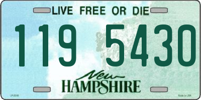 NH license plate 1195430