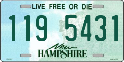 NH license plate 1195431