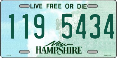 NH license plate 1195434