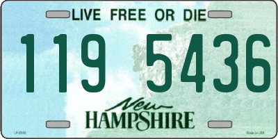 NH license plate 1195436
