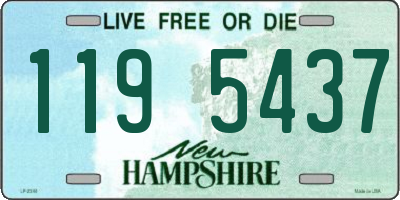 NH license plate 1195437