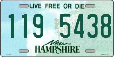 NH license plate 1195438