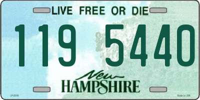 NH license plate 1195440