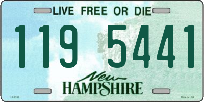 NH license plate 1195441