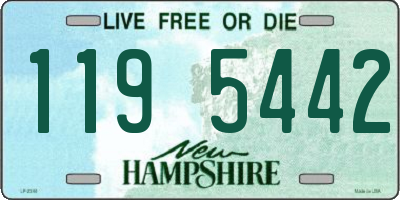 NH license plate 1195442