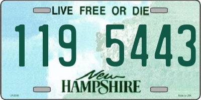 NH license plate 1195443