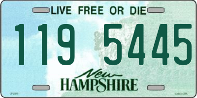 NH license plate 1195445