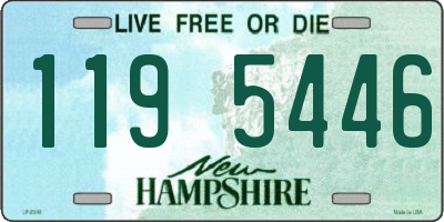NH license plate 1195446