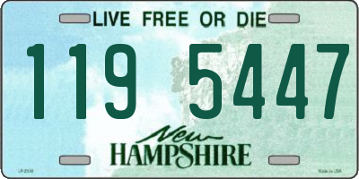 NH license plate 1195447