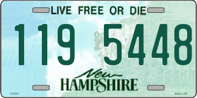 NH license plate 1195448