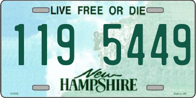 NH license plate 1195449