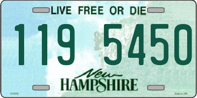 NH license plate 1195450