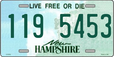 NH license plate 1195453