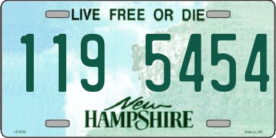 NH license plate 1195454