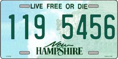 NH license plate 1195456