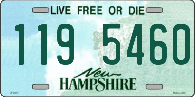 NH license plate 1195460