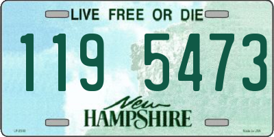 NH license plate 1195473