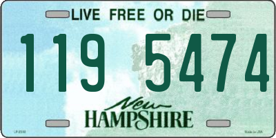 NH license plate 1195474