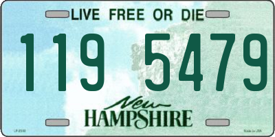 NH license plate 1195479