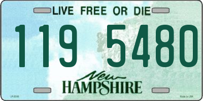 NH license plate 1195480