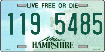 NH license plate 1195485