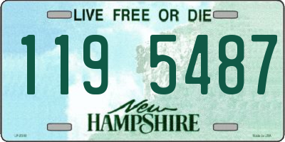 NH license plate 1195487