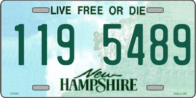 NH license plate 1195489
