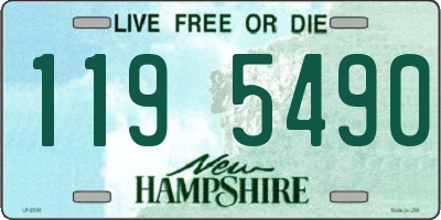 NH license plate 1195490