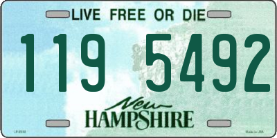 NH license plate 1195492