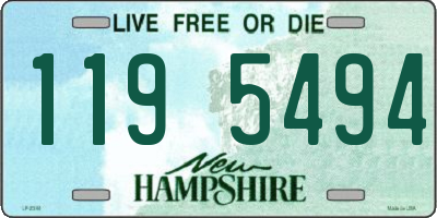 NH license plate 1195494