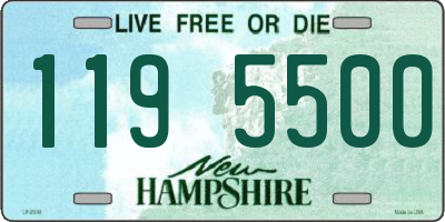 NH license plate 1195500