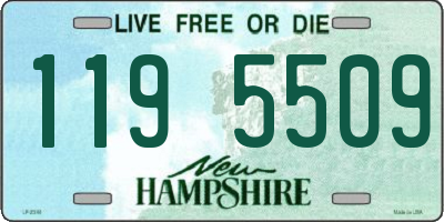 NH license plate 1195509
